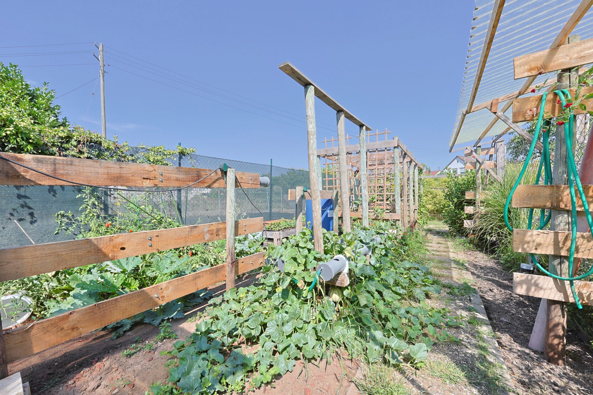 Garten Nutzbeete